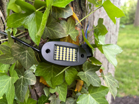 Yozma IN10 Pro Plug N Play Rock Light